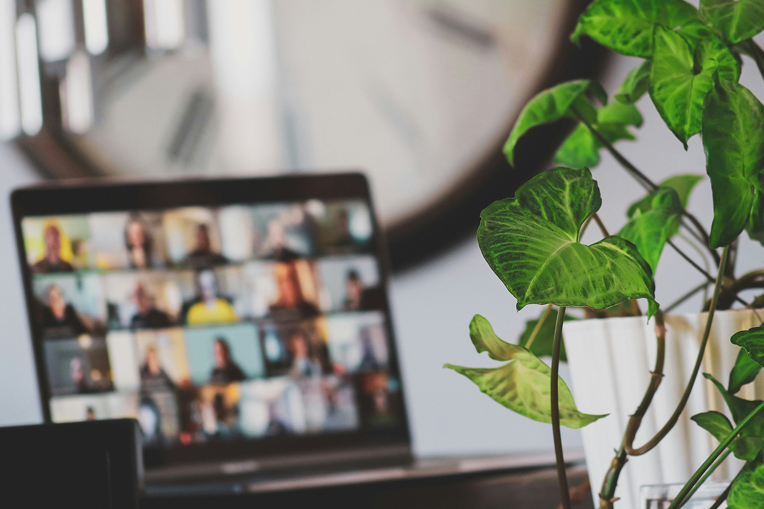 A laptop displaying a video call with multiple participants, accompanied by a green plant in the foreground.