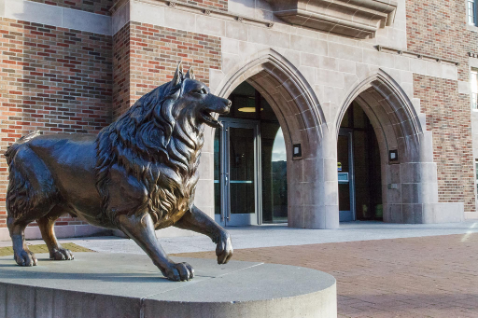 UW Husky in front of the HUB.