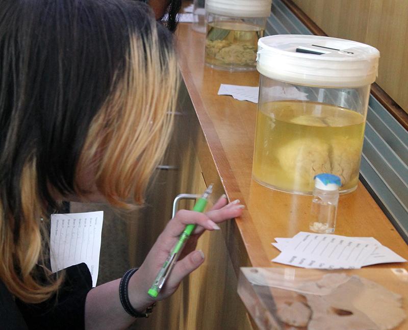 A person with long hair holding a pencil looks into a transparent jar with a brain inside.