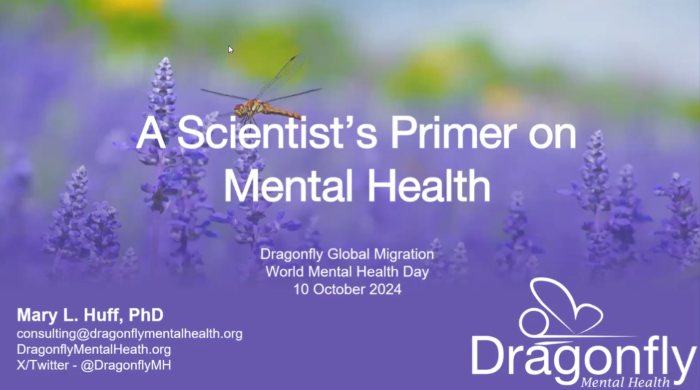 Cover of the webinar