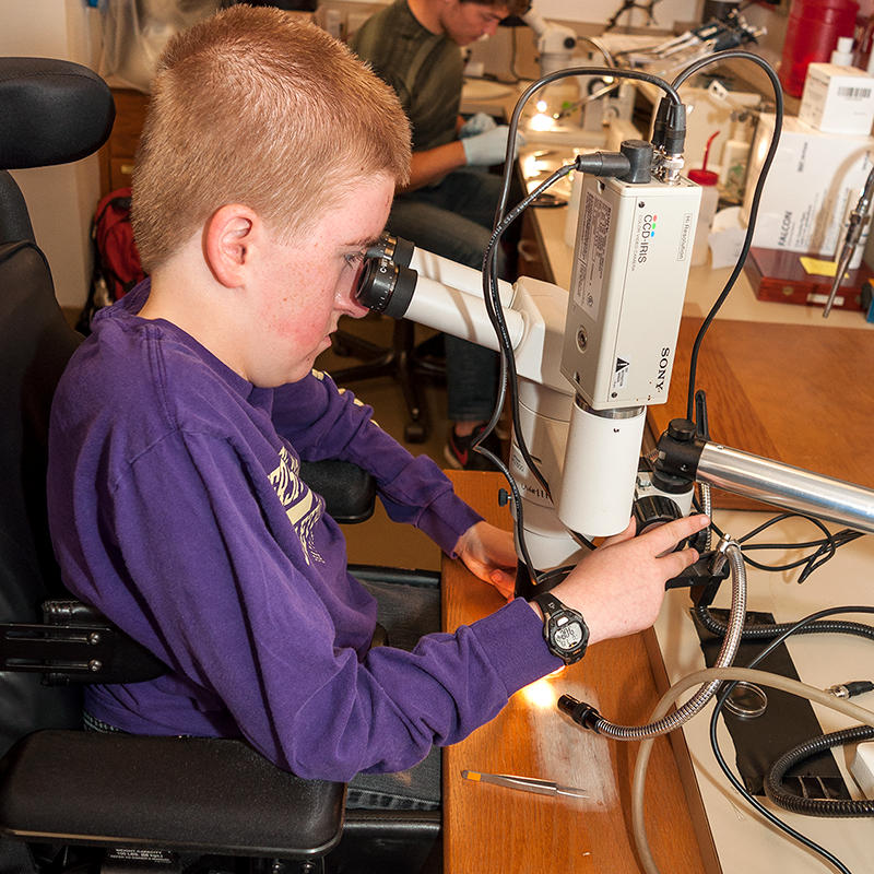 A student in a wheelchair looks through a microscope in a lab space.