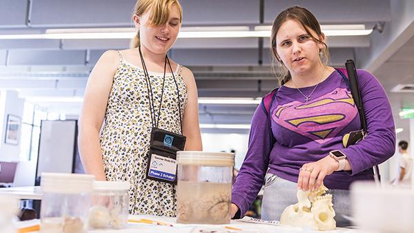 Two visually impaired students inspect skulls with their touch at the Center for Neurotechnology.