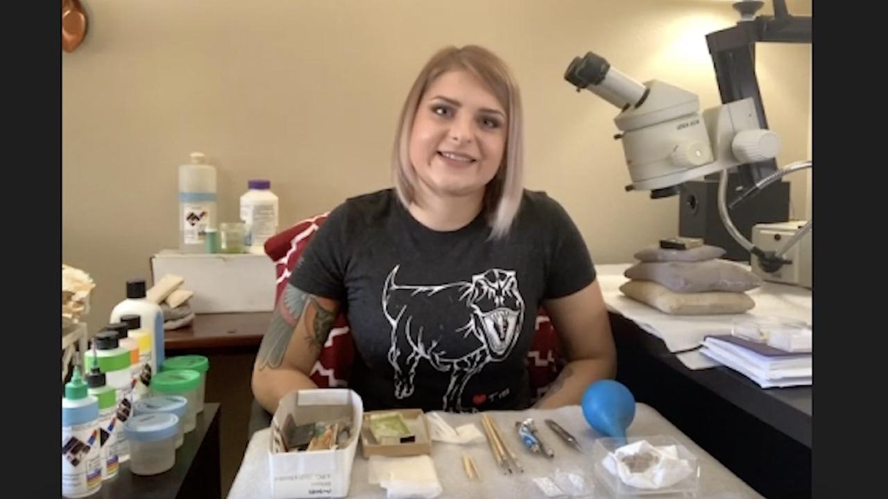 This is the image for Virtual Access to Informal STEM Learning video